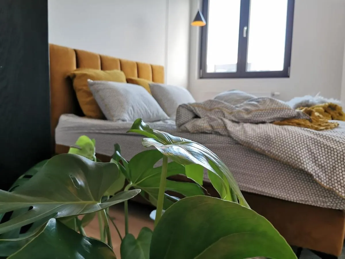 The Penthouse, Oasis Of Light And Inspiration Appartement Antwerpen